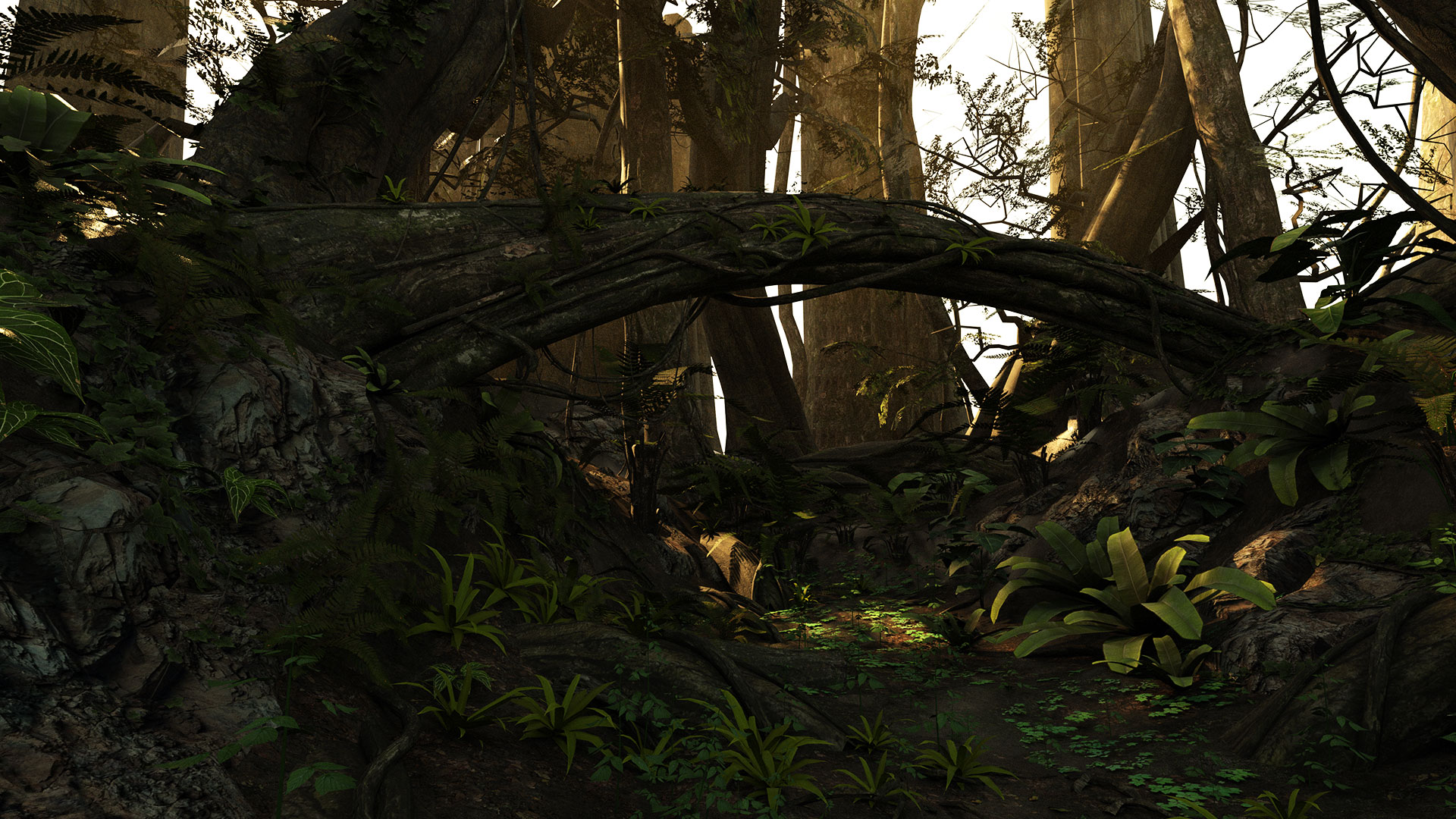 Dragonic Game Gameplay Screenshot Dark Sunset Forest